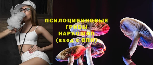 гашик Алзамай