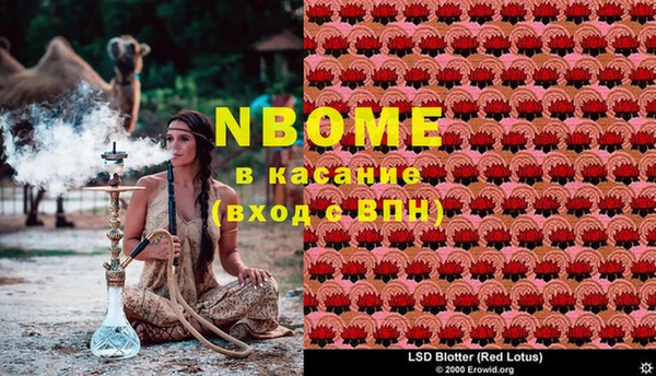 гашик Алзамай