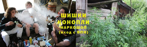 гашик Алзамай