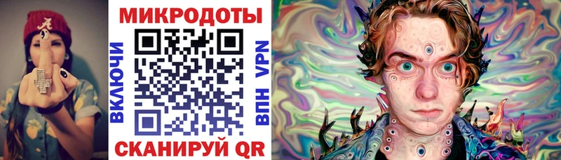Псилоцибиновые грибы Psilocybe  Петрозаводск 