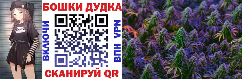 мега зеркало  Петрозаводск  МАРИХУАНА White Widow 